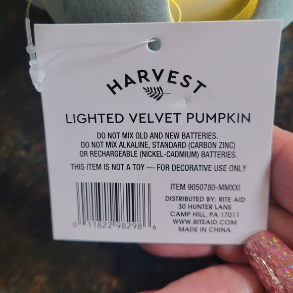 Harvest Lighted Velvet Pumpkin  Light Blue with Silver Shiny Stem  NEW - Picture 7 of 9